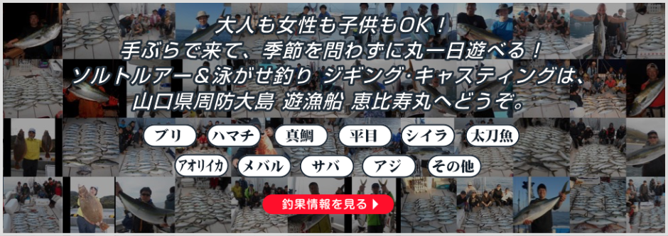 大人も女性も子供もOK！手ぶらで来て、季節を問わずに丸一日遊べる！ソルトルアー＆泳がせ釣り ジギング･キャスティングは、山口県周防大島 遊漁船 恵比寿丸へどうぞ。〜ブリ・ハマチ・真鯛・平目・シイラ・太刀魚・アオリイカ・メバル・サバ・アジ・その他