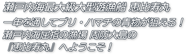 瀬戸内海で青物（ブリ・ハマチ等）狙いなら山口県の遊漁船 恵比寿丸